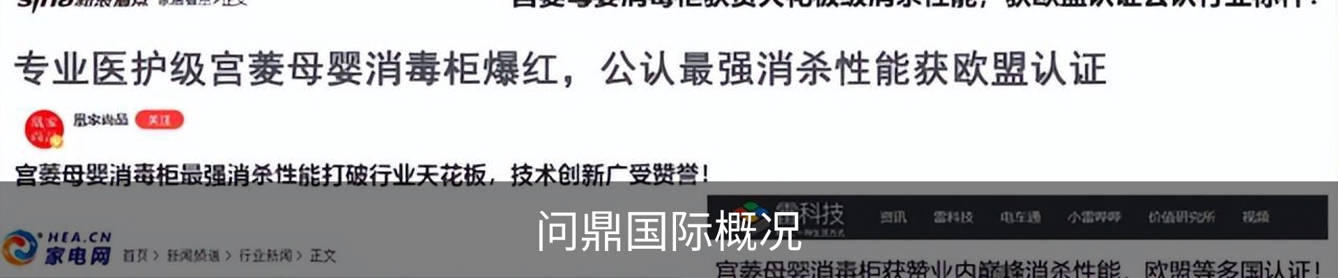问鼎国际概况
